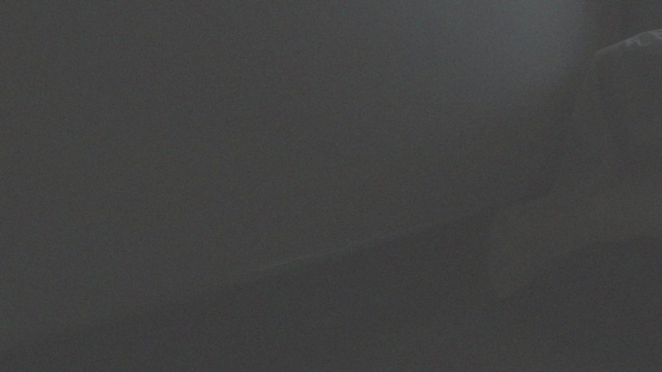 Jak ciepło ludzkiego ciała przyciąga karaluchy?