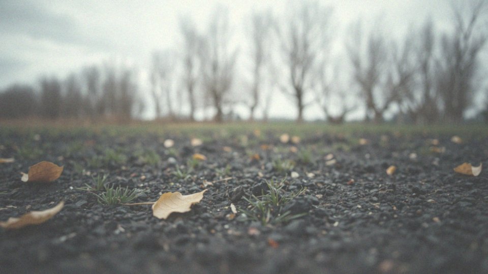 Jakie ryzyka wiążą się z wysiewem trawy pod koniec października?